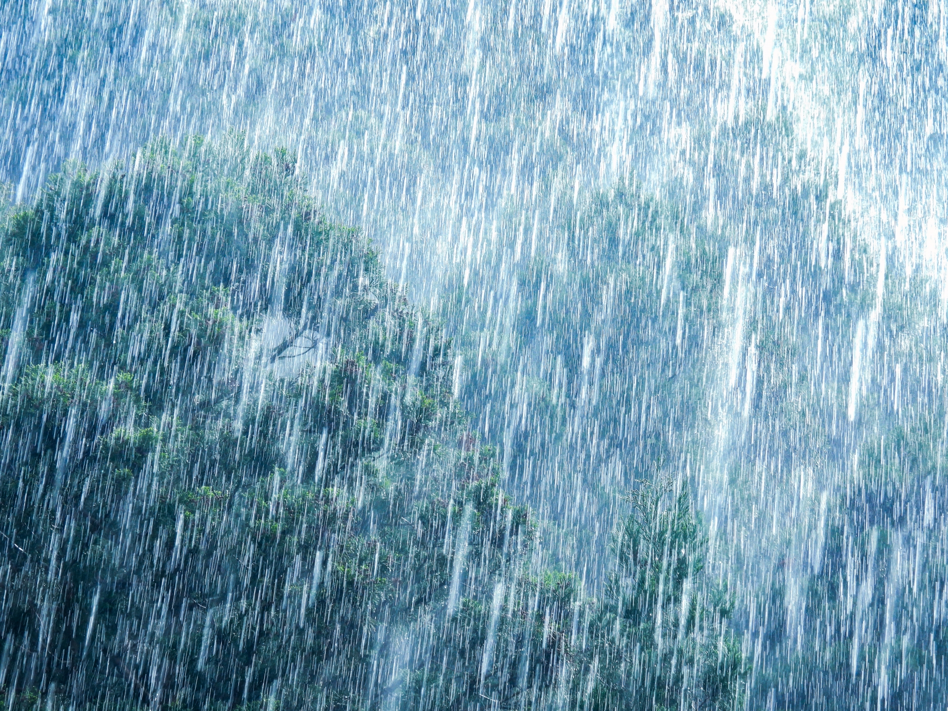 ゲリラ豪雨のリスク